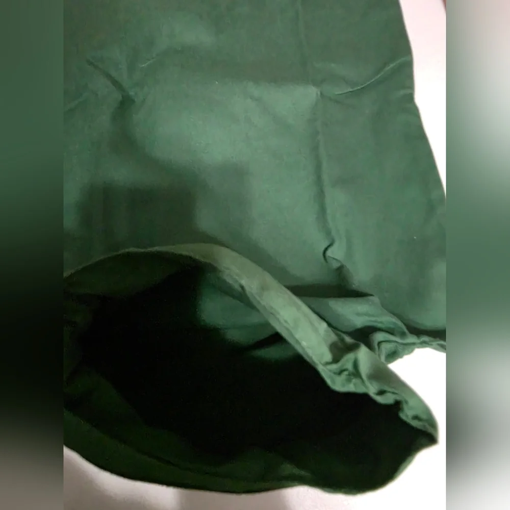 Large Green Pet Carrier for Small Pets
